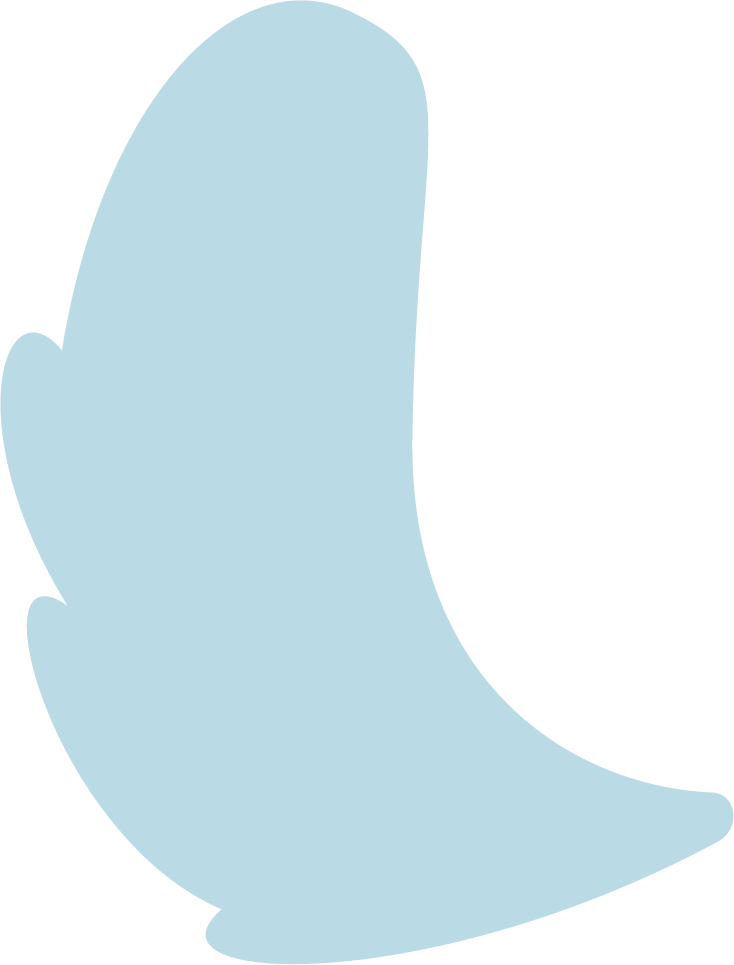 left wing